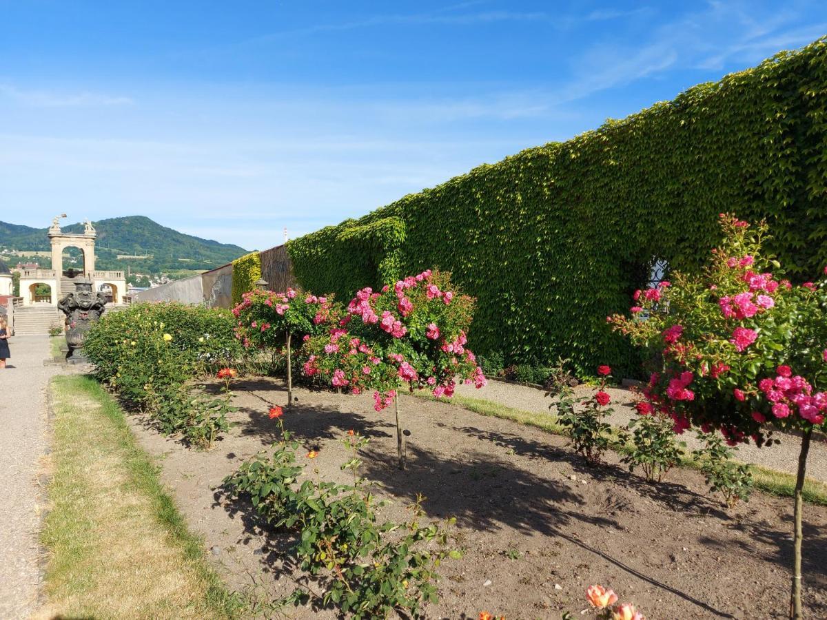 Apartments Rose Garden Decin Esterno foto