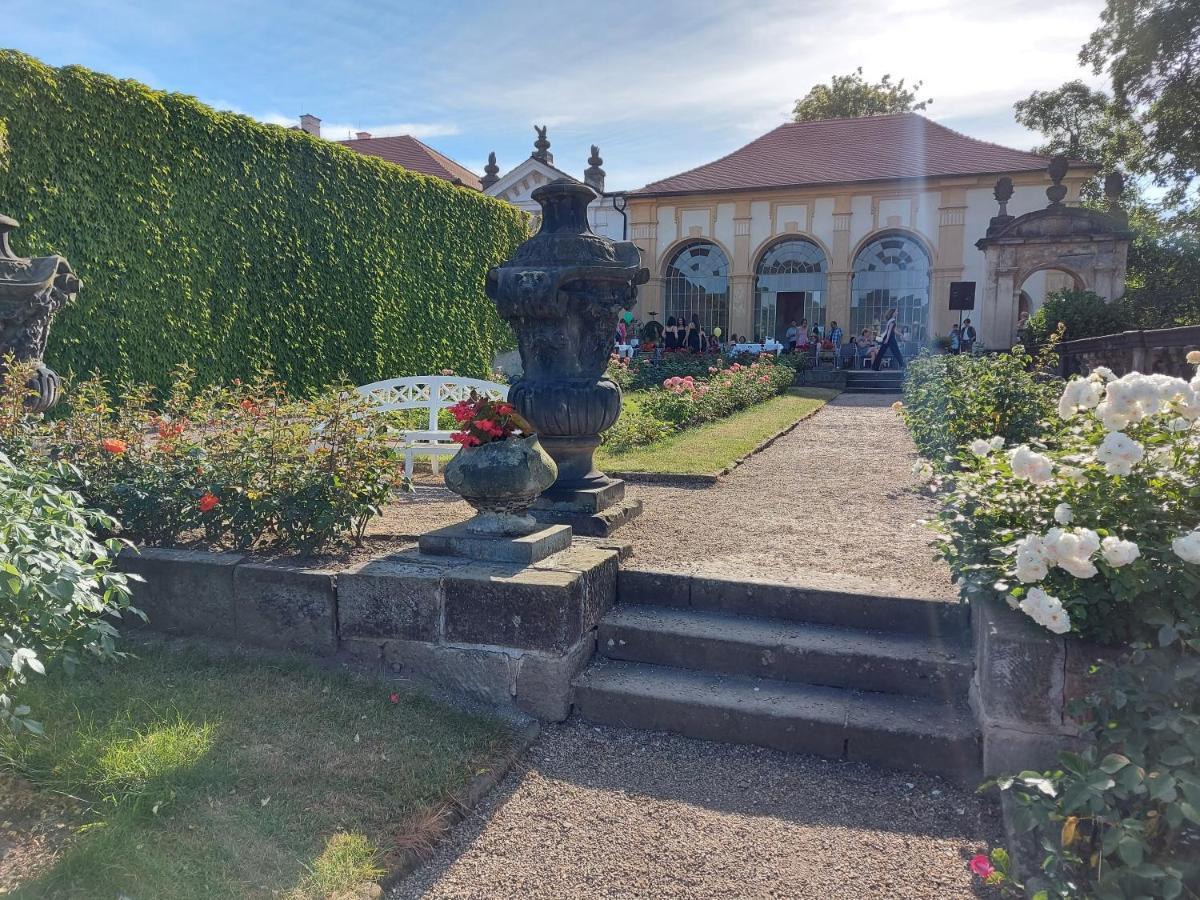 Apartments Rose Garden Decin Esterno foto